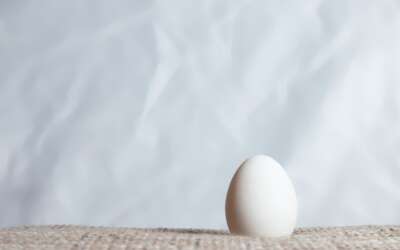 Warum Eier nicht schlecht sind bei Histaminintoleranz
