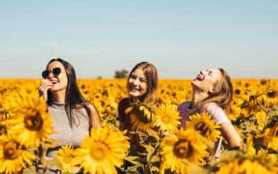 Miss Ovu Kurs – Aktion zum Relaunch