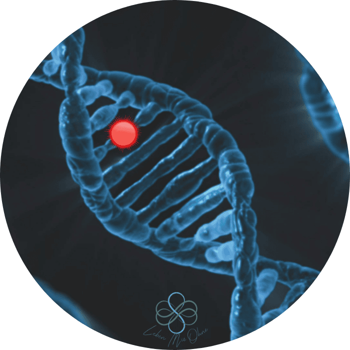 lmo methode epigenetik