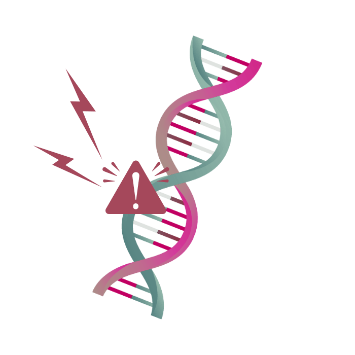 Genetische MCAS Mastozytose
